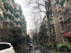 九龙小区爆料视频最新版,惊人真相曝光！