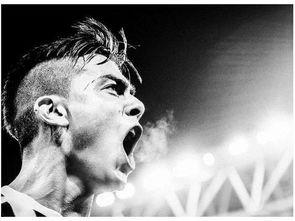 塞拉最新爆料新闻视频,揭秘事件背后惊人真相