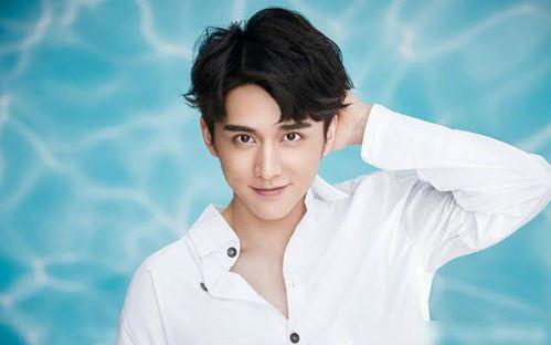 最新爆料张新成,揭秘明星背后的故事