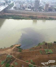 五华水寨爆料事件最新情况,真相大白，疑云散去