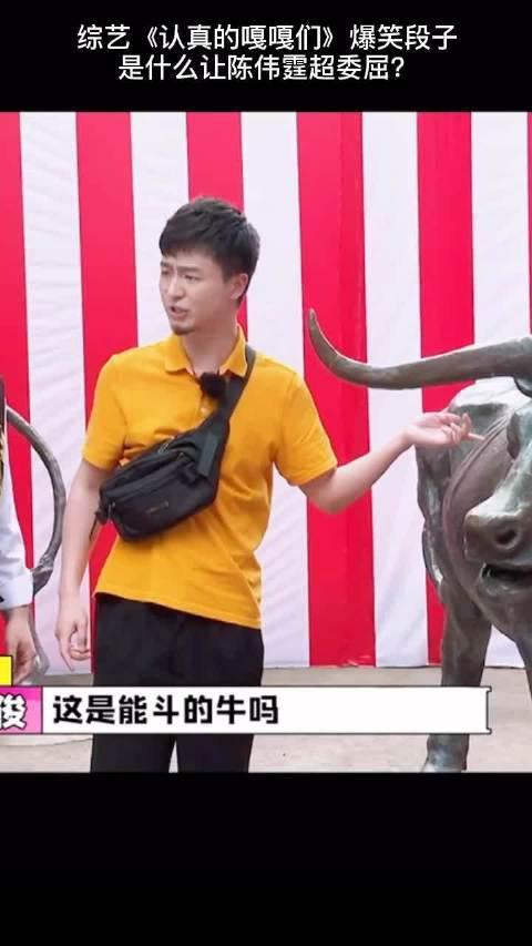 嘎嘎哥最新爆料新闻网视频,最新爆料新闻网视频幕后真相