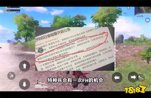 度假岛最新爆料新闻内容,独家爆料揭示岛上不为人知的秘密与奇遇